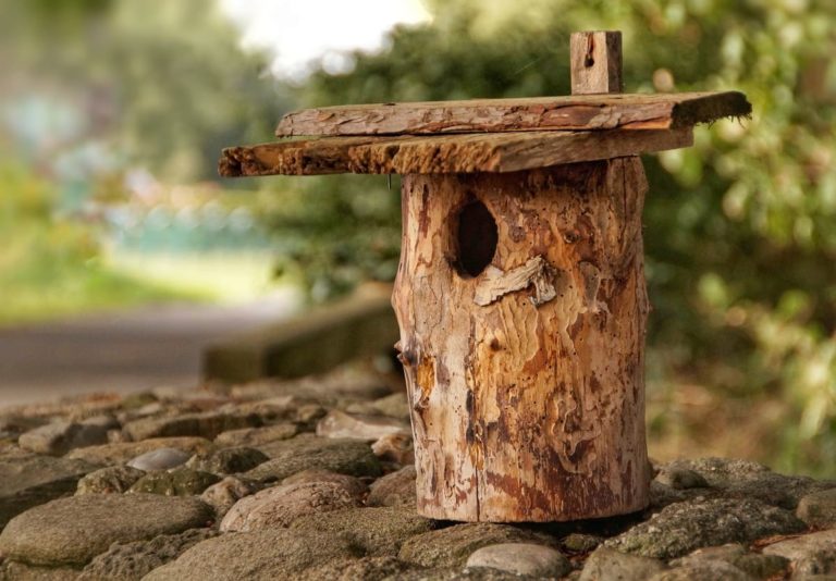 cabane à oiseaux en bois