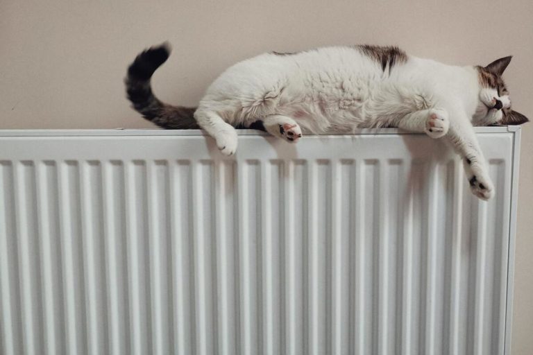 radiateur pour chaudière électrique