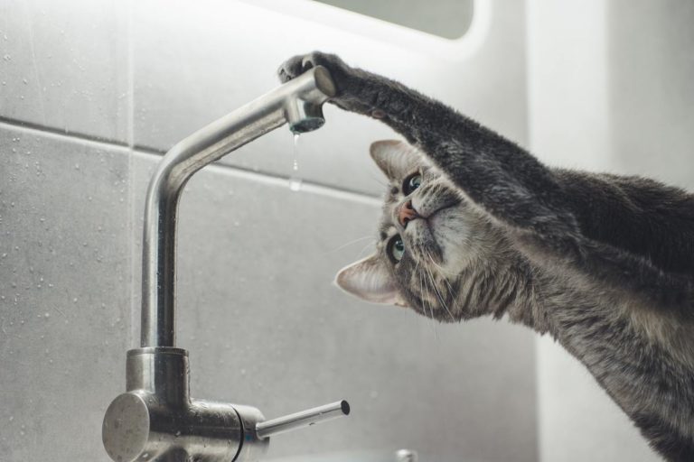 robinet chauffe-eau solaire