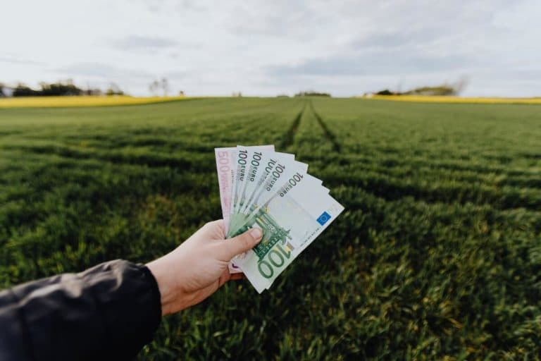 chaudière au fioul prix du marché