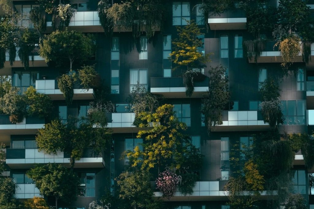 immeuble avec plantes vertes sur balcon
