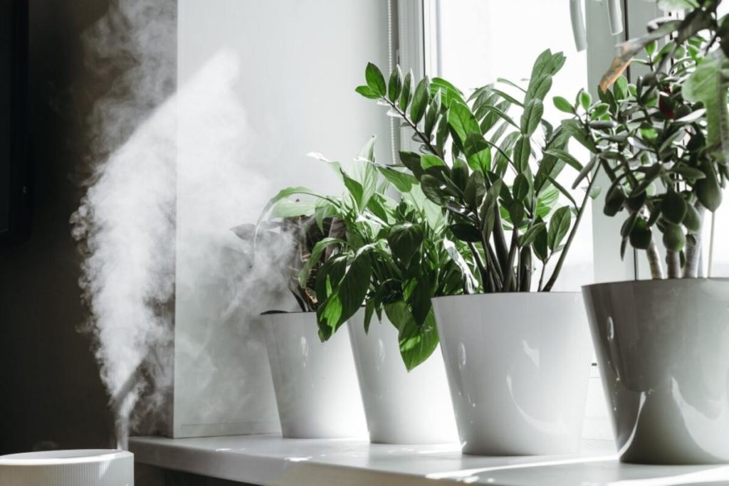 Purificateur d'air placé sous une fenêtre avec des plantes en pot