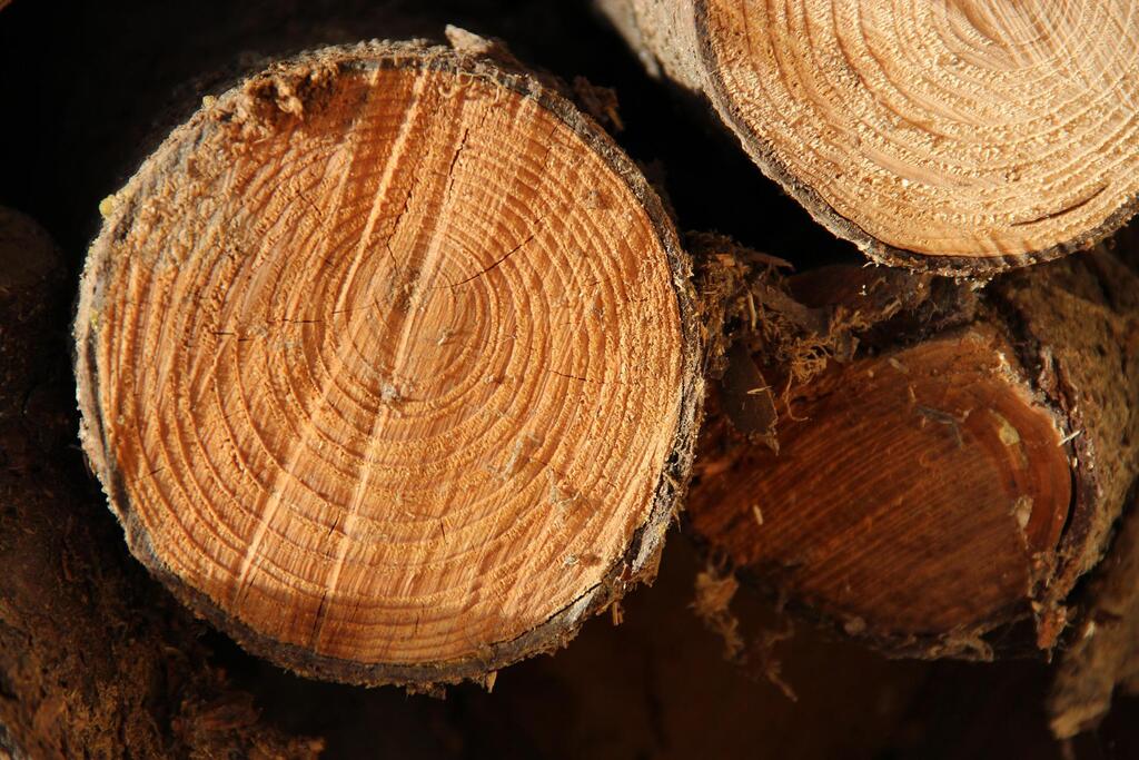 chaudière bois maprimerenov